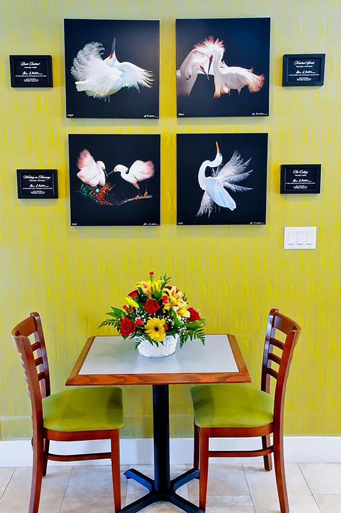 Silver Palms Inn Key West Extérieur photo